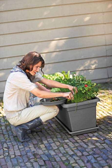 green basics garden xxl 80cm living black